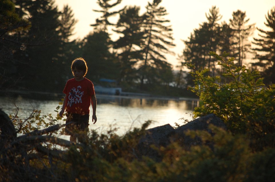 SUMMER (131)